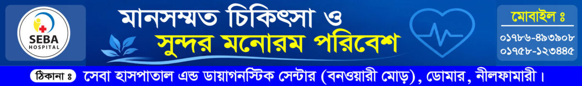 domarnews24.com
